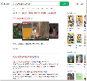 寺庙小猫和游客轮流击掌拍照_360搜索