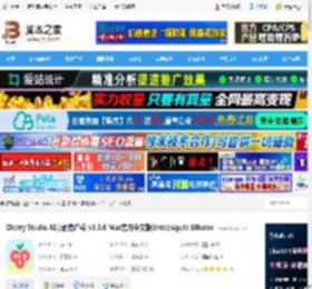 Cherry Studio下载 Cherry Studio AI桌面客户端 v1.0.6 Mac官方中文版(Intel/Apple Silicon) 下载-脚本之家
