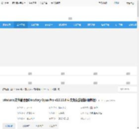 directory opus免费下载 windows文件管理器Directory Opus Pro v13.13.8 中文免费激活版(附教程) 下载-<strong>脚本</strong>之家