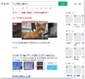 大学生替偷吃小猫写道歉信_360搜索