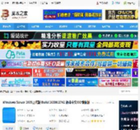 windows server 2025官方下载 Windows Server 2025正式版 Build 26100.1742 简体中文ISO镜像版 下载-脚本之家