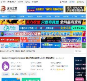 图片压缩软件下载 Caesium Image Compressor 图片无损压缩软件 v2.8.4 安装免费版 下载-<strong>脚本</strong>之家