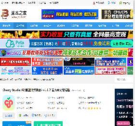 Cherry Studio下载 Cherry Studio AI(模型服务聚合) v1.1.7 官方中文安装版 下载-<strong>脚本</strong>之家