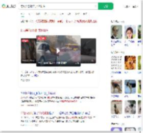 德牧等红绿灯时突然跳车_360搜索