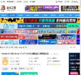 Nicat17官方下载 Nicat for SQL Server 17 v17.2.3 中文免费企业版(附安装教程) 下载-脚本之家