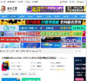 Rider2024官方下载 C#编辑器JetBrains Rider v2024.3.6 x64 中文安装免费版(附最新教程) 下载-<strong>脚本</strong>之家