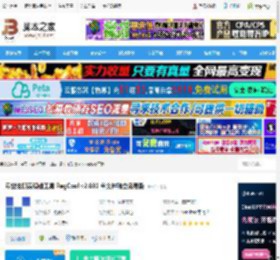 RegCool下载 专业注册表编辑工具 RegCool v2.032 单文件独立免费版 下载-<strong>脚本</strong>之家