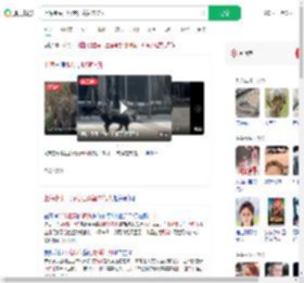 上海街头一野猪狂奔暂未伤人_360搜索