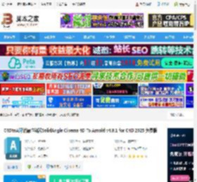 C4DtoA渲染器下载 C4DtoA阿诺德渲染器SolidAngle Cinema 4D To Arnold v4.8.1 for C4D 2025 免费版 下载-脚本之家