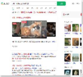 成都一地被曝发现大量流浪猫_360搜索