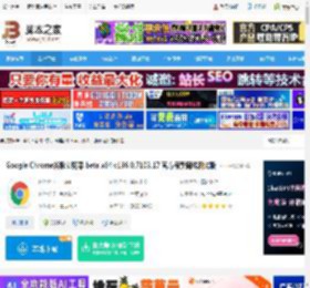 chrome浏览器下载 Google Chrome谷歌浏览器 beta x64 v136.0.7103.17 官方最新离线测试版 下载-<strong>脚本</strong>之家