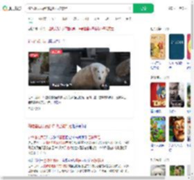 偷吃墓园贡品的边牧已被禁足_360搜索