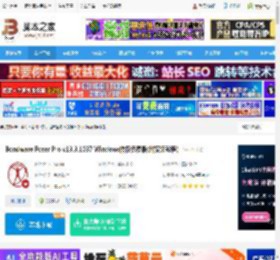Poser Pro下载 Bondware Poser Pro v13.3.1037 Windows授权免费版(附安装教程) 下载-脚本之家