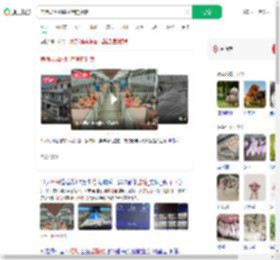 养猪场用AI监控猪的健康_360搜索