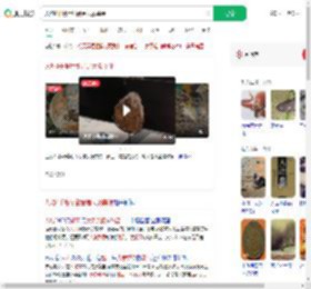 人均4千餐厅甜品是大象粪便_360搜索
