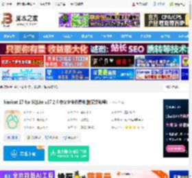 Nicat17下载 Nicat 17 for SQLite v17.2.4 中文企业免费版(附安装教程) 下载-脚本之家