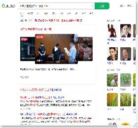 研究员违规携带水稻种质出境_360搜索