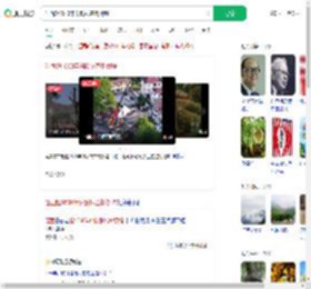 江西超1500年树龄银杏树倒塌_360搜索