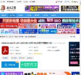 Acrobat DC2025免安装下载 Adobe Acrobat Pro DC v2025.001.20458 中文免费绿色便携版 64位 下载-<strong>脚本</strong>之家