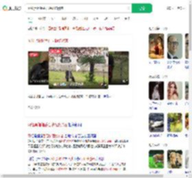 网红黑猩猩丢石块砸伤游客_360搜索