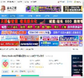 Cherry Studio下载 Cherry Studio AI(模型服务聚合) v1.4.1 官方中文安装版 下载-<strong>脚本</strong>之家