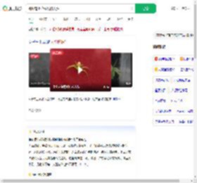 蜘蛛背上花纹酷似人脸_360搜索