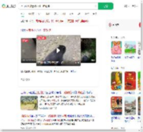 上山捡菌被迷路小熊一路跟随_360搜索