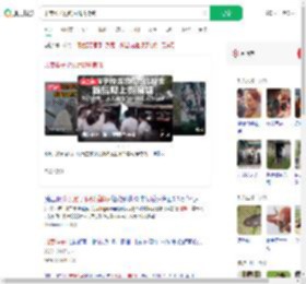 印度猴子抢钱后爬树撒钱_360搜索