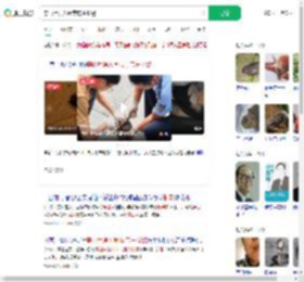 穿山甲误入闹市店主报警_360搜索