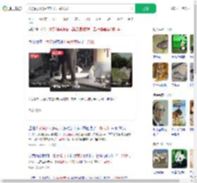 大象闯入居民家吃光一袋大米_360搜索