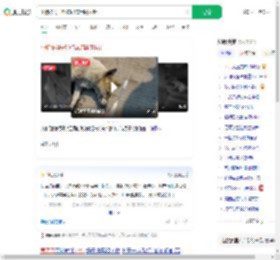 小狗被男子射伤忍痛用嘴拔针_360搜索