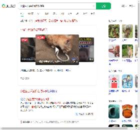 小猫生吞活蛇像在吃辣条_360搜索