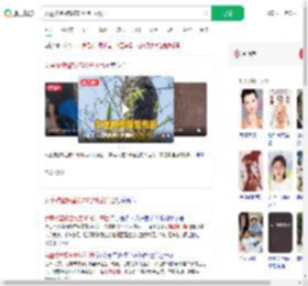 女童被蜜蜂蜇伤30分钟后离世_360搜索