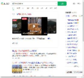 被东风5C烧饼馋到了_360搜索