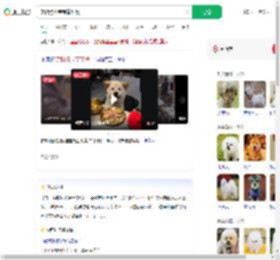 宠物狗坐宝宝椅吃饭_360搜索